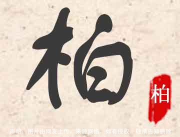 【柏字五行:木【柏字笔画:9【柏字拼音:bǎi【柏字部首:木