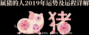 属猪2019年运势,属猪生肖属相和婚配详解