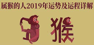 属猴人2019的整体运势怎么样？属猴的生肖属相有哪些，接下来看看大众起名小编为大家带来的属猴人2019年财运运势,2019年事业运势,2019年感情运势,2019年健康运势,2019年吉祥物,不同年份属猴人运势详解