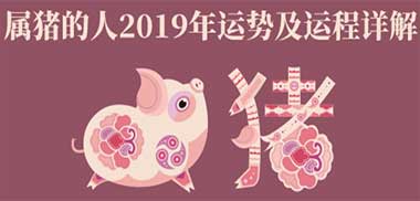 属猪人2019的整体运势怎么样?属猪的生肖属相有哪些,接下来看看大众起名小编为大家带来的属猪人2019年财运运势,2019年事业运势,2019年感情运势,2019年健康运势,2019年吉祥物,不同年份属猪人运势详解。