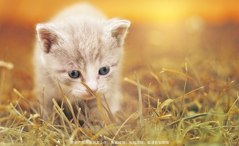 如何为孩子起名 宝宝免费起名大全:儒雅大气
