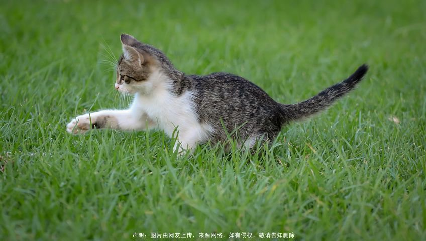  猪年起名有内涵的男女宝宝名字精选：取名小诀窍